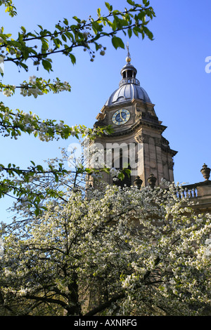 St. Philips Cathedral Birmingham City Centre England UK Stockfoto