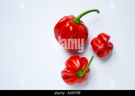 Drei red hot chili peppers Stockfoto