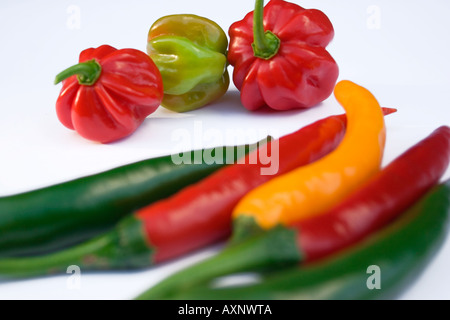 Gemischte Chilischoten Stockfoto