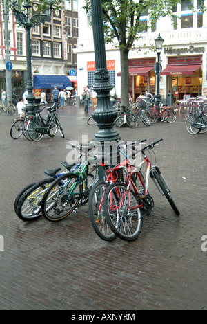 Fahrräder, angekettet an einen Baum in Amsterdam Stockfoto