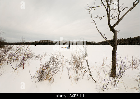 MUSHER UND HUND TEAM MUSHING ÜBER SEE BOUNDARY WATERS KANU BEREICH MINNESOTA Stockfoto