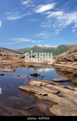 Arktische Landschaft am Svartisen. Nord-Norwegen Stockfoto