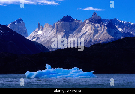 Eisberg auf See grau Torres del Paine Nationalpark XII Region Magallanes Chile in Südamerika Stockfoto