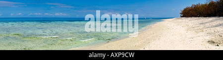 Lady Elliot Island am Great Barrier Reef-Queensland-Australien Stockfoto