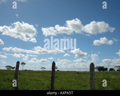 Querformat Ansicht Los Llanos Guarico Staat venezuela Stockfoto