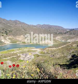 Embalse de Limonero Lake Reservoir Pinien in die Berge von Malaga Montes de Málaga in der Nähe von Malaga, Andalusien, Spanien Stockfoto