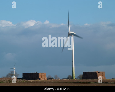 ENERCON E-66 1,5MW EINZELNE WINDENERGIEANLAGE BEFINDET SICH IN MARTOCK, Norfolk, East Anglia, England, UK, EURPOE, Stockfoto