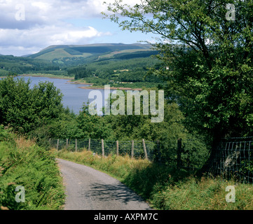Llwyn am Stausee Brecon beacons Powys, wales Stockfoto