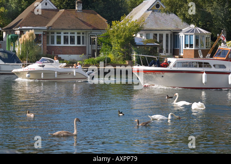 Europa Deutschland England Sunbury am Themse-Ufer-Garten Stockfoto