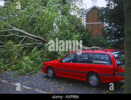 Auto unterwegs durch umgestürzten Baum England Surrey blockiert Stockfoto