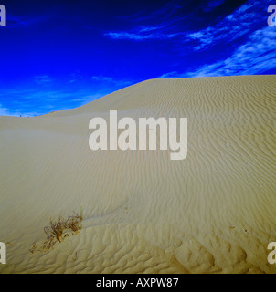 Douz Tunesien Grand Erg Sanddüne Stockfoto