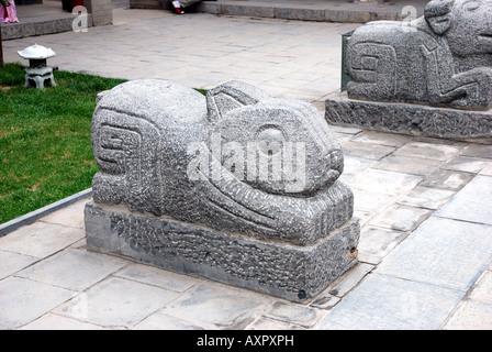 Glücklichen Tier Tier Kaninchen Chenghuang Tempel Zhengzhou Henan Provinz China Ming-Dynastie Asien Stadt Gott s Tempel von Zhengzhou Stockfoto