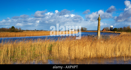 Ein Blick auf Hardley Cross neben dem Fluß Yare auf einem Winternachmittag Stockfoto