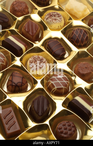 Chocalatier Thorntons schlicht Milchschokolade spezielle Süßwaren gold Vielzahl Fachauswahl Stockfoto