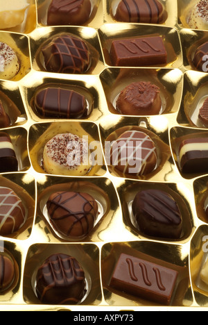 Chocalatier Thorntons schlicht Milchschokolade spezielle Süßwaren gold Vielzahl Fachauswahl Stockfoto