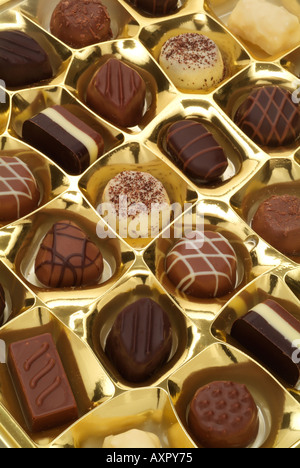 Chocalatier Thorntons schlicht Milchschokolade spezielle Süßwaren gold Vielzahl Fachauswahl Stockfoto