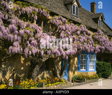 Glyzinien an den Wänden einer Hütte in der Cotswold-Dorf Broadway Stockfoto