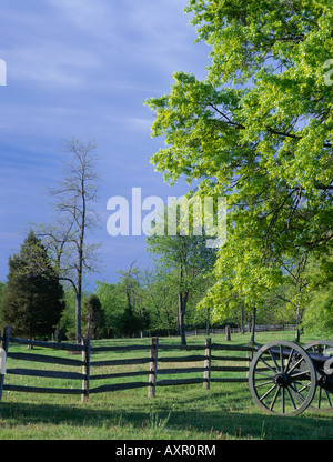 Gettysburg National Military Park PA Kanone Zaun entlang am Seminary Ridge Stockfoto