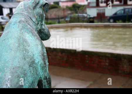 Hund schaut Bootfahren Teich im strömenden Regen Stockfoto