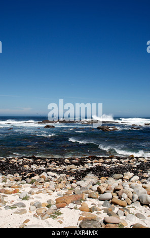 Kap der guten Hoffnung Teil der Tabelle Mountain Nationalpark Kapstadt westlichen Kapprovinz in Südafrika Stockfoto