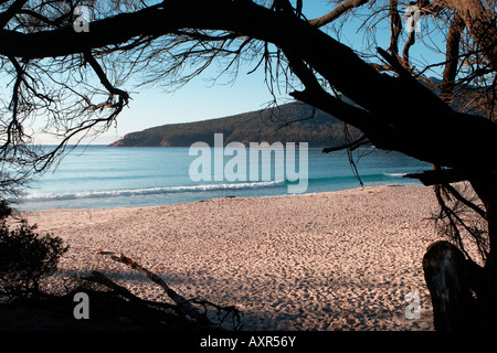 Wineglass Bay, Freycinet National Park, Tasmanien, Australien Stockfoto