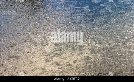 Regentropfen bilden Ringe an die dunklen ruhigen Wasseroberfläche Stockfoto