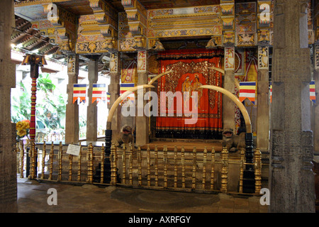 Blick ins Innere der Tempel des Zahns, Kandy, Sri Lanka Stockfoto