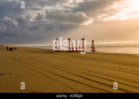 Land yachting, bei Sonnenuntergang, auf einem Strand der Insel Oléron. Frankreich Stockfoto