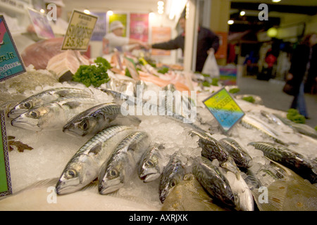 Frische Makrelen auf dem Display in den Beresford Straße Fisch Markt St. Helier Jersey Stockfoto