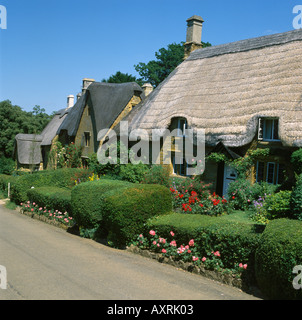 Die reetgedeckten Cottages in Cotswold Dorf der großen Tew mit seinen farbenfrohen Gärten, ein attraktives Dorf an einem Sommertag Stockfoto