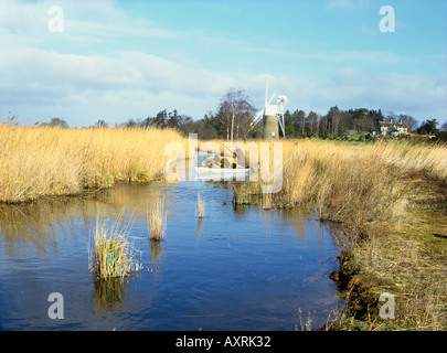 Eric Edwards eine der letzten Norfolk Maische heraus schneiden Schilf auf das Broads Stockfoto