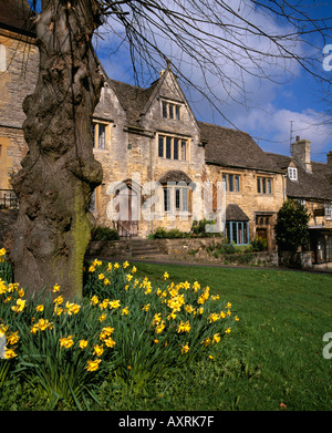 Narzissen um den Linden auf der breiten Grünstreifen neben der High Street von der malerischen Cotswolds Stadt Burford Stockfoto