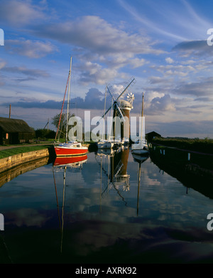 Die Windpumpe bei Horsey auf den Norfolk Broads spiegelt sich im Wasser, mit herrlichem Blick über das offene flache Land Stockfoto