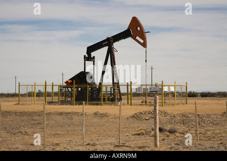 Oehlbohrpumpe, Guanako Stockfoto