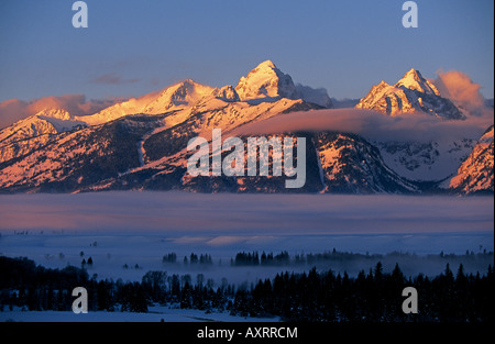 Ein Blick auf die hohen schneebedeckten Gipfeln auf den Grand Teton im Grand Teton National Park in der Nähe von Jackson Hole Stockfoto