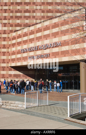 Schülerinnen und Schüler auf eine Exkursion vorzubereiten, geben Sie das Tennessee Aquarium In Chattanooga, TN, USA Stockfoto