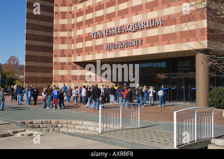 Schülerinnen und Schüler auf eine Exkursion vorzubereiten, geben Sie das Tennessee Aquarium In Chattanooga, TN, USA Stockfoto