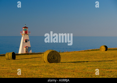 Heuballen im Feld mit Cape Tryon Leuchtturm, Prince Edward Island, Canada Stockfoto