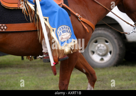 Bunte Chaps Rodeo Queen Stockfoto