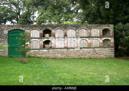 GARTENBAU. BIENE BOLES.  DIE VERLORENEN GÄRTEN VON HELIGAN CORNWALL ENGLAND UK EUROPA Stockfoto