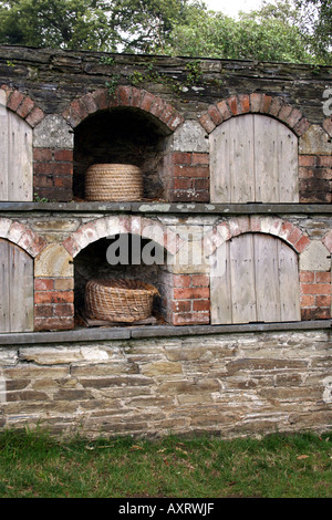 GARTENBAU. BIENE BOLES.  DIE VERLORENEN GÄRTEN VON HELIGAN CORNWALL ENGLAND UK EUROPA Stockfoto