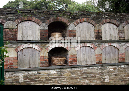 GARTENBAU. BIENE BOLES.  DIE VERLORENEN GÄRTEN VON HELIGAN CORNWALL ENGLAND UK EUROPA Stockfoto