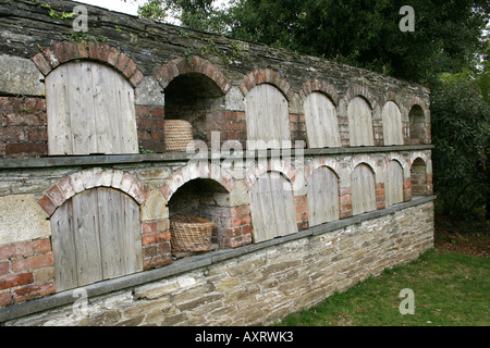 Gartenbau. Biene Baumstämme die Verlorenen Gärten von Heligan CORNWALL ENGLAND UK EUROPA. Stockfoto