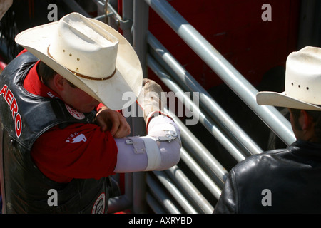 Rodeo, Alberta, Kanada, Bull Riding, In der Rinne.   Cowboys, die ihre Fähigkeiten gegen raue und bösartig Bulls Lochfraß Stockfoto