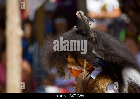 Junge Bufflo Tänzer von Pojoaque Pueblo im Norden von New Mexico Stockfoto