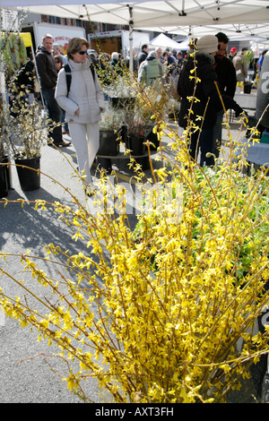 Bauernmarkt, Dupont Circle, Washington DC, USA Stockfoto