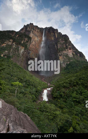 Der höchste Wasserfall der Welt - Angel Falls in den tropischen Regenwald von Venezuela Stockfoto