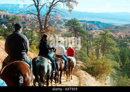 Gruppe der Reiter am Bryce Canyon, Utah Stockfoto