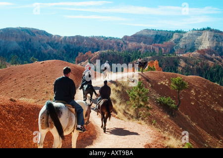 Reiter in Bryce Canyon in Utah Stockfoto