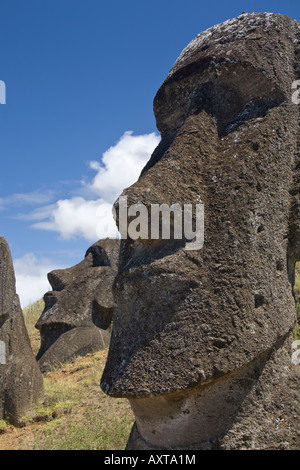 Moai in verschiedenen Stadien der Fertigstellung übersät um am Hang des Rano Raraku auch bekannt als die Moai-Kindergarten Stockfoto